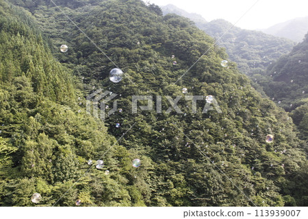 Soap bubbles on top of a mountain 113939007
