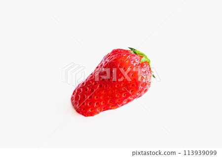 Ichigo Seishi Ichigo Seishi 113939099