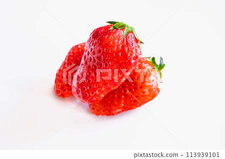 Ichigo Seishi 113939101