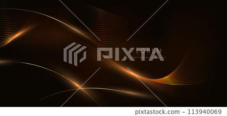 Abstract elegant gold glowing curved line with lighting effect sparkle on black background. Template premium award design. 113940069