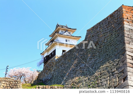 [Kagawa Prefecture] Marugame Castle in spring when cherry blossoms bloom (the castle tower seen from Ninomaru and the cherry blossoms blooming in Ninomaru) 113940816