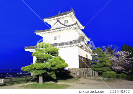 [香川縣] 櫻花盛開的春天的丸龜城（丸龜城燈火通明，夜晚櫻花盛開） 著名的石牆城堡 113940862