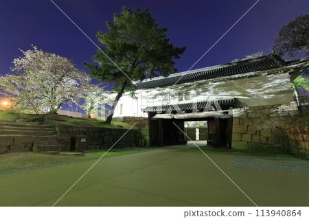 [Kagawa Prefecture] Night view of Marugame Castle (Oteichinomon Gate) in spring with cherry blossoms in bloom 113940864