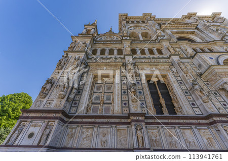 Nice details on the left side facade of the Certosa di Pavia 113941761