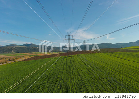 Electricity tower on the green wheat field in Greece. Aerial view. 113941780
