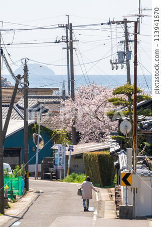 Spring townscape of Shonai Peninsula, Mitoyo City, Kagawa Prefecture, Shikoku Spring townscape of Shonai Peninsula, Mitoyo City, Kagawa Prefecture, Shikoku 113941870