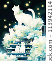 貓咪仰望夜空 113942114