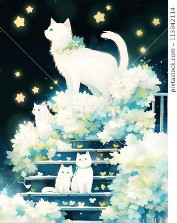 Cats looking up at the night sky Cats looking up at the night sky 113942114