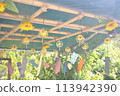 Summer scenery with wind chimes 113942390