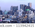 Cloudy Tokyo, high-rise apartment buildings 113942415