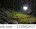 Light shining into the cave 113942417