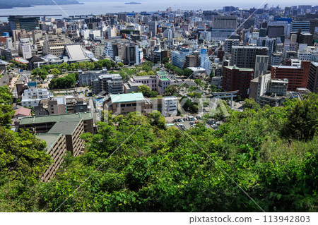 Kagoshima City View from Shiroyama Park Observation Deck Kagoshima City View from Shiroyama Park Observation Deck 113942803