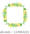 watercolor frame with avocado on white background 113943221