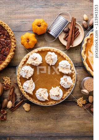 Variety of traditional Thanksgiving pies on light background Variety of traditional Thanksgiving pies on light background 113943353