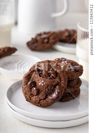 Double chocolate cookies with flaky salt on a plate 113943412