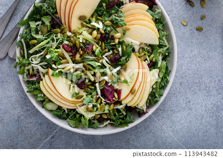 Fall salad with kale, cabbage and apples, topped with pumpkin seeds and dried cranberry 113943482