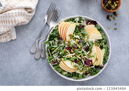 Fall salad with kale, cabbage and apples, topped with pumpkin seeds and dried cranberry 113943484