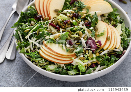 Fall salad with kale, cabbage and apples, topped with pumpkin seeds and dried cranberry 113943489