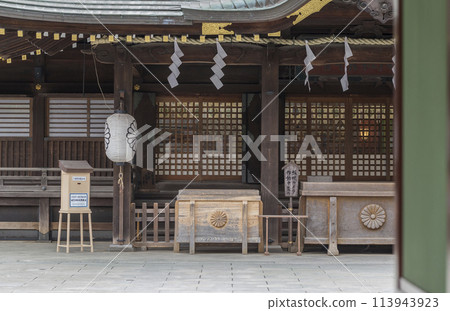 垂枝櫻花 春天的陽光照亮的垂枝櫻花 大國魂神社 垂枝櫻花 春天的陽光照亮的垂枝櫻花 大國魂神社 113943923