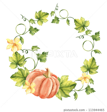 Pumpkin watercolor wreath. Hand drawn vegetable botanical illustration isolated on white background. Can be used for invitation and greeting cards, logos and textile design. Vintage stile. Pumpkin watercolor wreath. Hand drawn vegetable botanical illustration isolated on white background. Can be used for invitation and greeting cards, logos and textile design. Vintage stile. 113944465