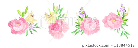 Colorful Peony Flower Buds with Showy Petals Vector Set 113944512