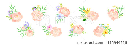 Colorful Peony Flower Buds with Showy Petals Vector Set Colorful Peony Flower Buds with Showy Petals Vector Set 113944516