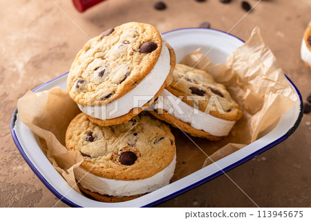 Ice cream sandwiches with vanilla ice cream and chocolate chip cookies 113945675