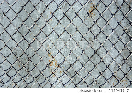 Iron mesh cells. Iron mesh cells. 113945947