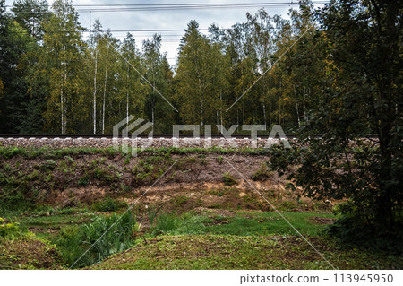 Railway embankment. 113945950