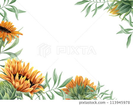 Sunflowers and green leaves. Garden flowers and wild leaf branches. Floral horizontal frame with copy space for text. Watercolor illustration of summer plants. For greeting, invitation, stationery Sunflowers and green leaves. Garden flowers and wild leaf branches. Floral horizontal frame with copy space for text. Watercolor illustration of summer plants. For greeting, invitation, stationery 113945978