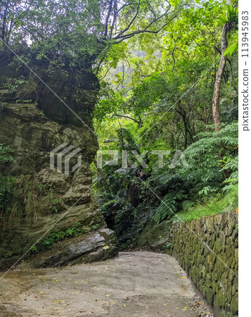 Taroko, Taiwan - 11.26.2022: Empty Shakadang Trail takes a turn at a huge rock covered by tree canopy in a mist during the pandemic before 403 earthquake 113945983