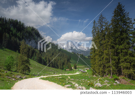 Mountain valley with tracks near Jenner mount in Berchtesgaden National Park 113946003