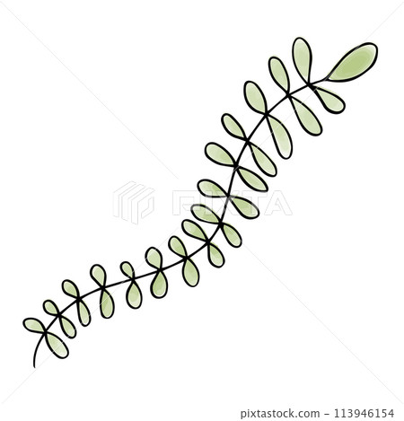 Green leaf watercolor doodle element. Vector illustration. Green leaf watercolor doodle element. Vector illustration. 113946154