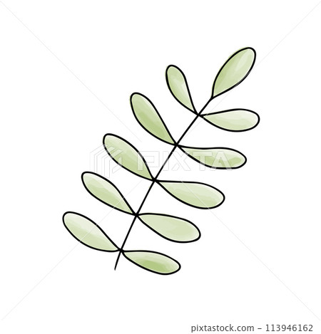 Green leaf watercolor doodle element. Vector illustration. Green leaf watercolor doodle element. Vector illustration. 113946162