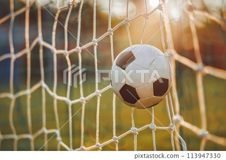 Soccer ball in the goal net. 113947330