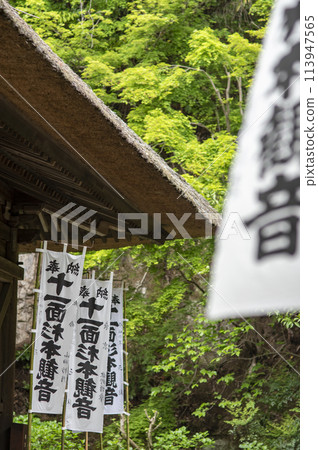 鎌倉 244 杉本寺 2 新綠 鎌倉 244 杉本寺 2 新綠 113947565