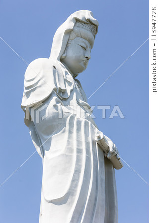 群馬縣高崎市仰望藍天白觀音像 113947728