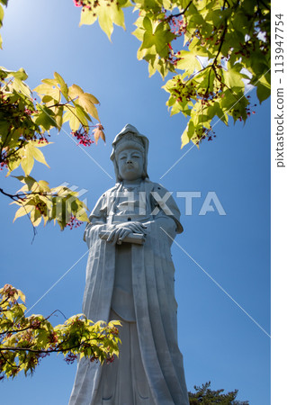 群馬縣高崎市新綠與白袍大觀音 群馬縣高崎市新綠與白袍大觀音 113947754