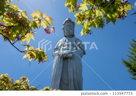 Fresh greenery and the White Robe Kannon Bodhisattva in Takasaki, Gunma Prefecture Fresh greenery and the White Robe Kannon Bodhisattva in Takasaki, Gunma Prefecture 113947755