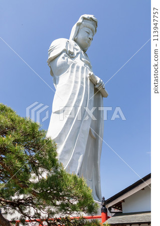 Fresh greenery and the White Robe Kannon Bodhisattva in Takasaki, Gunma Prefecture 113947757
