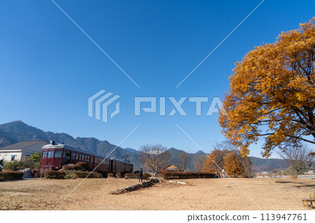 可以看到紅葉、山脈和車輛的開放空間。 113947761