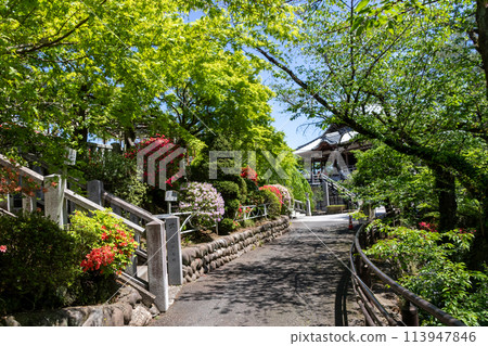 The back approach to Jigen-in Temple on Mount Kannon in Takasaki City 113947846
