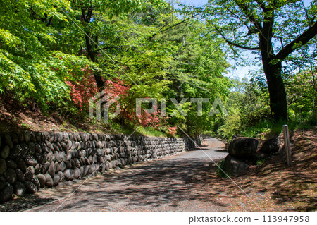The back approach to Jigen-in Temple on Mount Kannon in Takasaki City 113947958