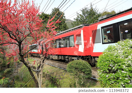 箱根登山列車/聖莫里茲在春天下箱根山（日本神奈川縣足柄下郡） 113948372