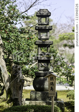 春天的兼六園，櫻花盛開 113948526