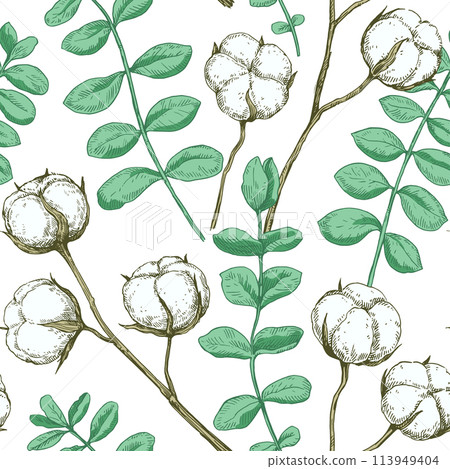 Seamless pattern with cotton and eucalyptus branches. Vector illustration in retro detailed style. Seamless pattern with cotton and eucalyptus branches. Vector illustration in retro detailed style. 113949404