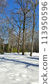 Winter cityscape in the snowy park. Moscow Botanical garden. 113950596