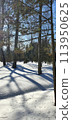 Winter cityscape in the snowy park. Moscow Botanical garden. 113950625