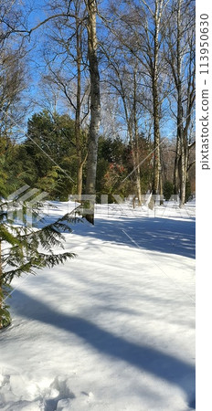 Winter cityscape in the snowy park. Moscow Botanical garden. 113950630