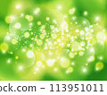 Glitter ball bokeh background Green 113951011